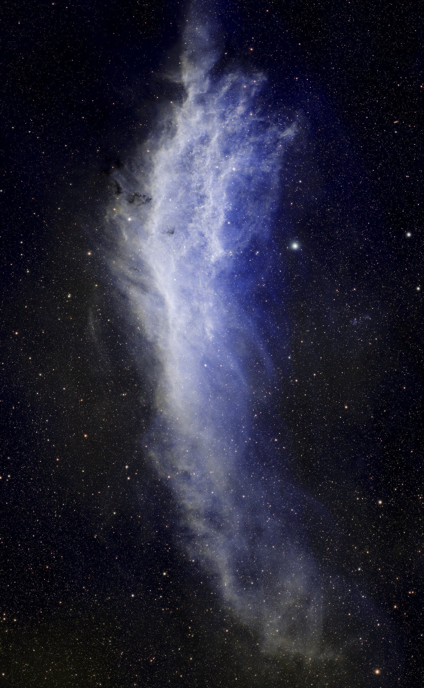 California Nebula
